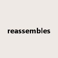 reassembles是什么意思