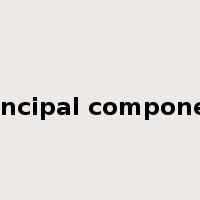 principal component是什么意思