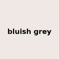bluish grey是什么意思