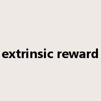 extrinsic reward是什么意思
