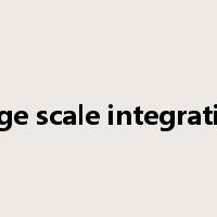 large scale integration是什么意思