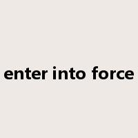 enter into force是什么意思