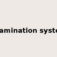 examination system是什么意思