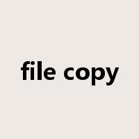 file copy是什么意思