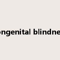 congenital blindness是什么意思