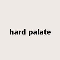 hard palate是什么意思