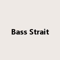 Bass Strait是什么意思