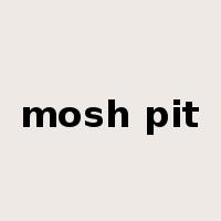 mosh pit是什么意思