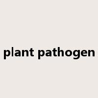 plant pathogen是什么意思