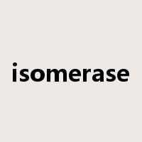 isomerase是什么意思