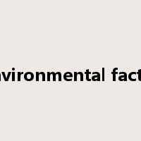 environmental factor是什么意思
