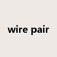 wire pair是什么意思