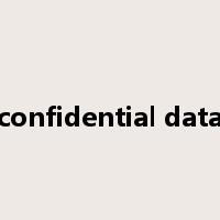 confidential data是什么意思