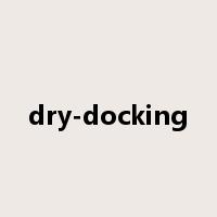 dry-docking是什么意思