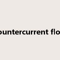 countercurrent flow是什么意思