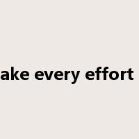 make every effort to是什么意思