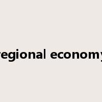 regional economy是什么意思