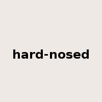 hard-nosed是什么意思