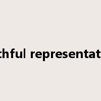 faithful representation是什么意思