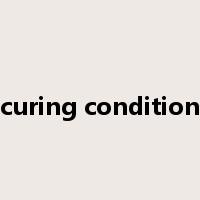 curing condition是什么意思