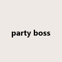 party boss是什么意思