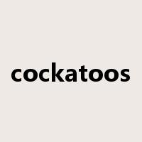 cockatoos是什么意思