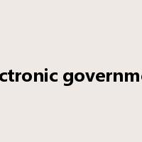 electronic government是什么意思