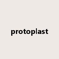 protoplast是什么意思