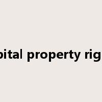 capital property rights是什么意思