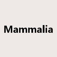 Mammalia是什么意思