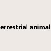terrestrial animals是什么意思