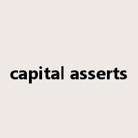capital asserts是什么意思