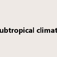 subtropical climate是什么意思