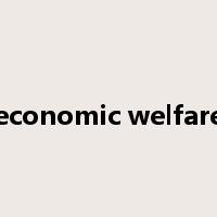 economic welfare是什么意思