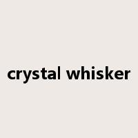 crystal whisker是什么意思