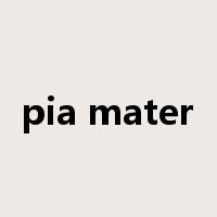 pia mater是什么意思