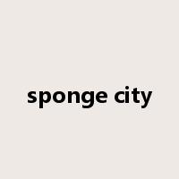 sponge city是什么意思