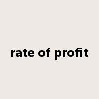 rate of profit是什么意思