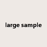large sample是什么意思