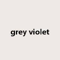 grey violet是什么意思