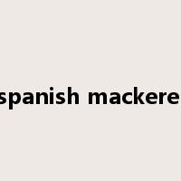 spanish mackerel是什么意思