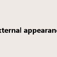 external appearance是什么意思
