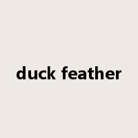 duck feather是什么意思