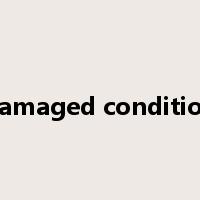 damaged condition是什么意思