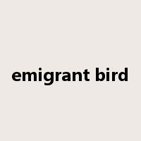 emigrant bird是什么意思