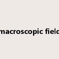 macroscopic field是什么意思