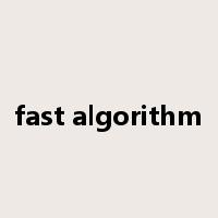 fast algorithm是什么意思