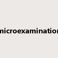 microexamination是什么意思