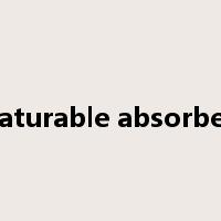 saturable absorber是什么意思
