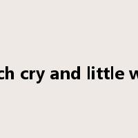 much cry and little wool是什么意思